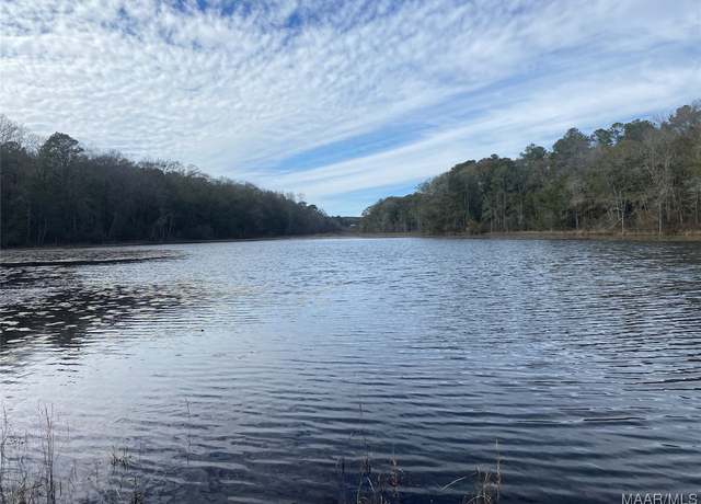 Property at 445 Lessie Culpepper Rd Lot 5, Coffee Springs, AL 36318