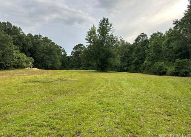 Property at 40 Acres County Road 471, Samson, AL 36477