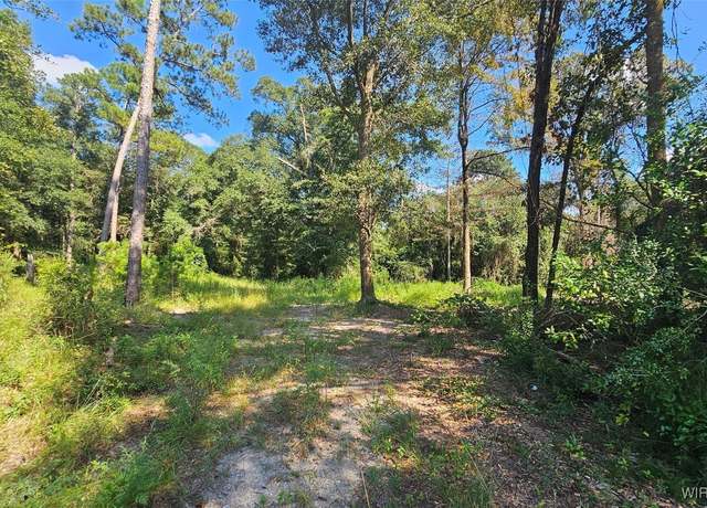Property at Lot 1 County Road 61, Ozark, AL 36360