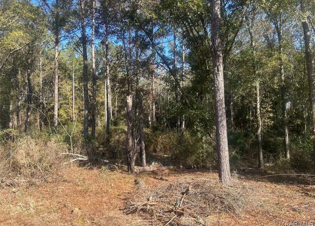 Property at TBD County Road 619 Rd, Enterprise, AL 36330