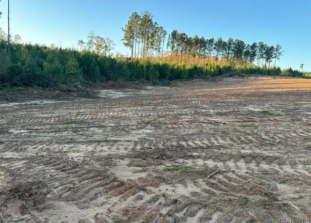 Property at 0 Highway 125, Jack, AL 36346