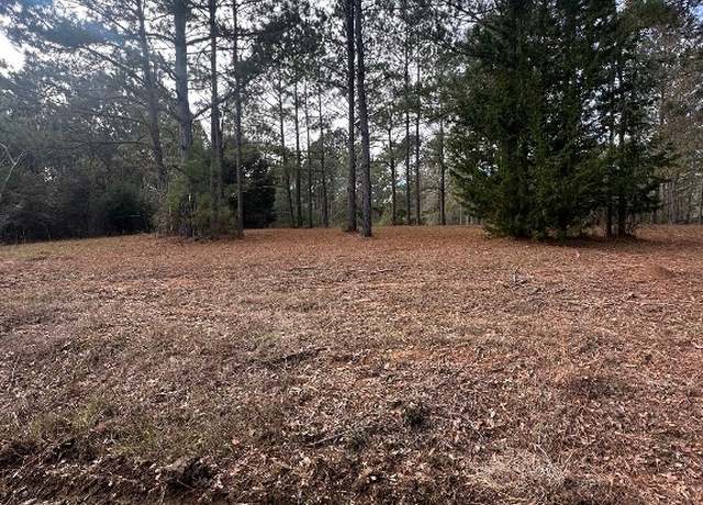Property at 0 County Road 103, Brundidge, AL 36010