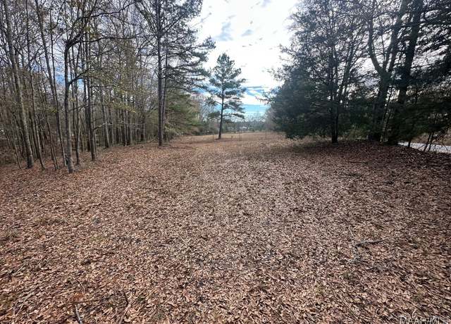Property at 00 County Road 103, Brundidge, AL 36010