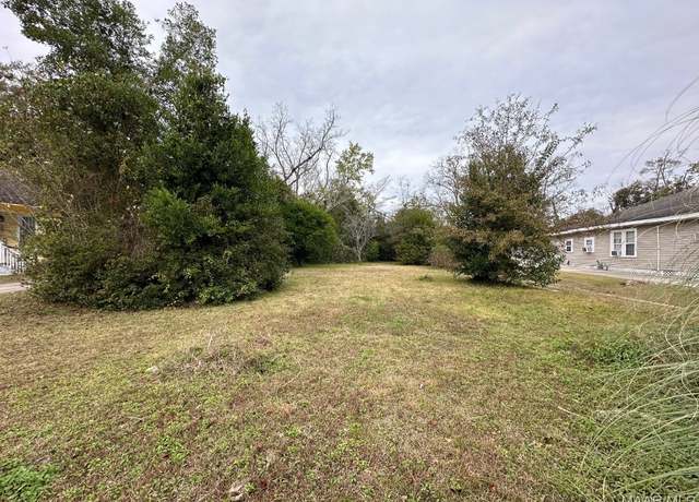 Property at 206 Oak St, Brundidge, AL 36010