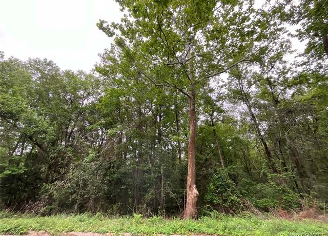 Property at 206 Yellowleaf Dr, Enterprise, AL 36330