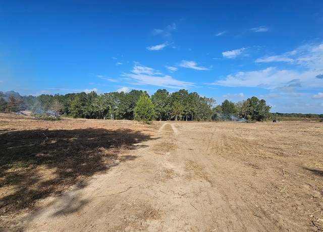 Property at 1.5 Acres - LOT 1 County Road 67, Midland City, AL 36350