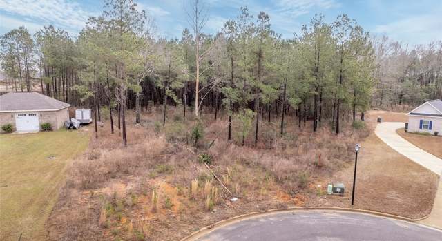 Photo of 101 Preserve Dr, Enterprise, AL 36330