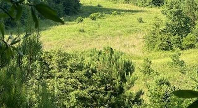 Photo of 0 County Road 70 Rd, Ariton, AL 36311