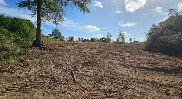 Photo of 2 Acres - LOT 1 County Road 67, Midland City, AL 36350