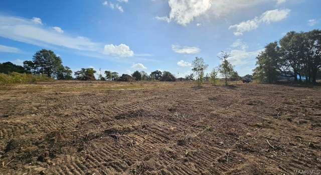 Photo of 2 Acres - LOT 1 County Road 67, Midland City, AL 36350