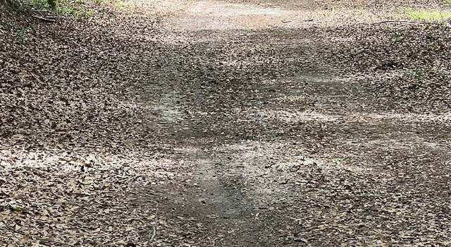 Photo of TBD Driftwood Ln, Andalusia, AL 36421