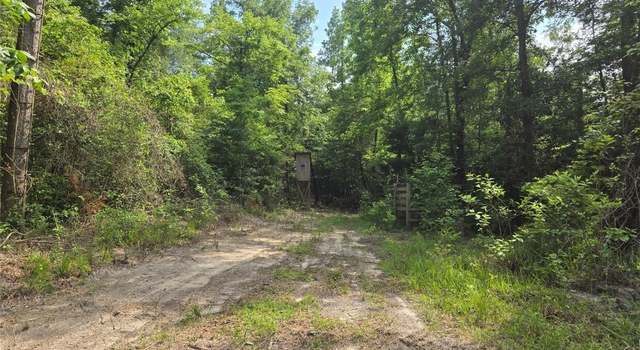 Photo of 0 Dozier Hwy, Dozier, AL 36028