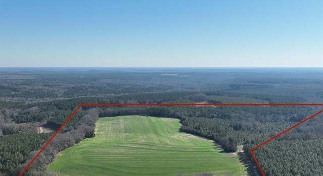 Photo of 5672 County Road 69, Skipperville, AL 36360