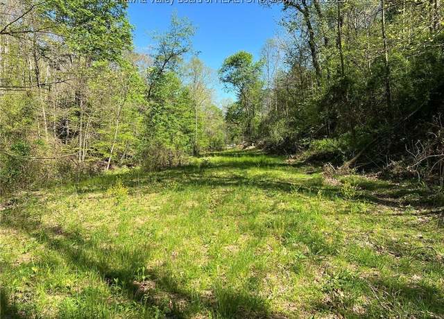 Property at 0 Upper Mud River Rd, Hamlin, WV 25523