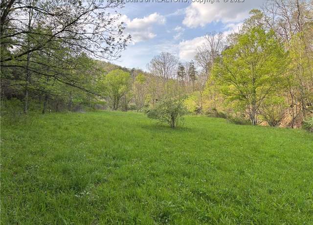 Property at 621 Three Mile Rd, Brohard, WV 26138