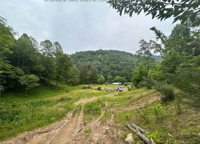 Property at 60 Margaret Dr, Chapmanville, WV 25508