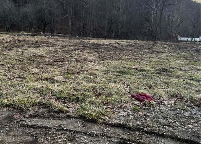 Property at 1696 Limestone Branch Rd, Harts, WV 25505