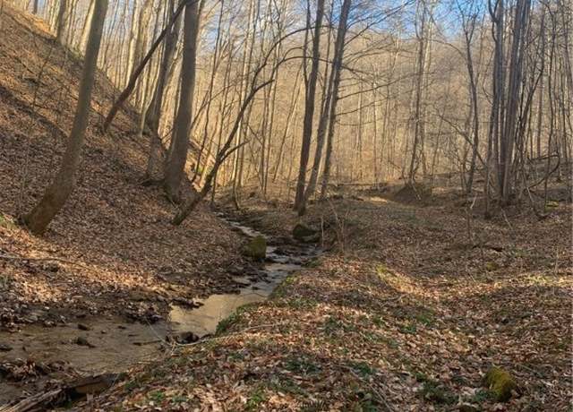 Property at TBD Buckeye Creek Rd, Sutton, WV 26601