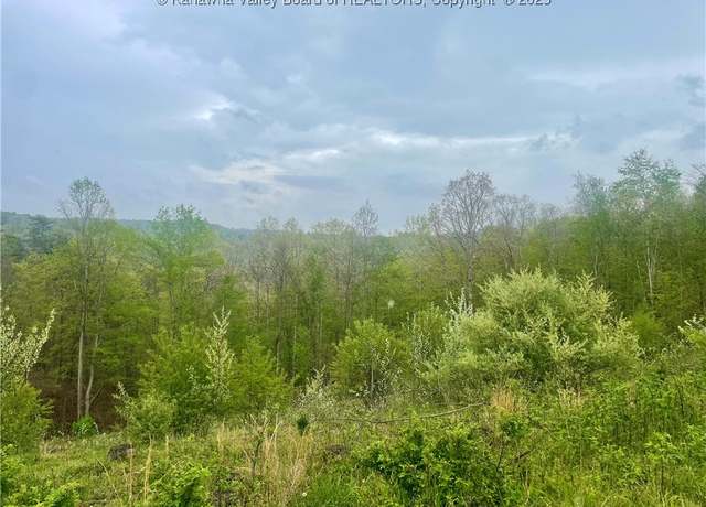 Property at 0 Lumber Ridge Rd, Ripley, WV 25271