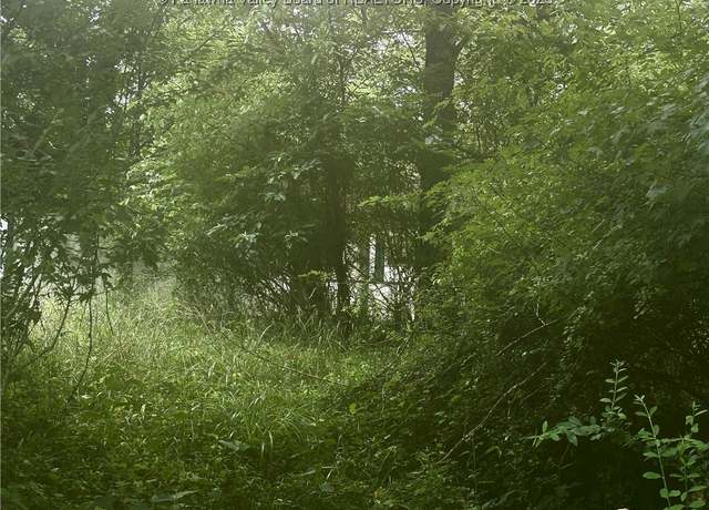 Property at 0 Wells Lock Rd, Elizabeth, WV 26143