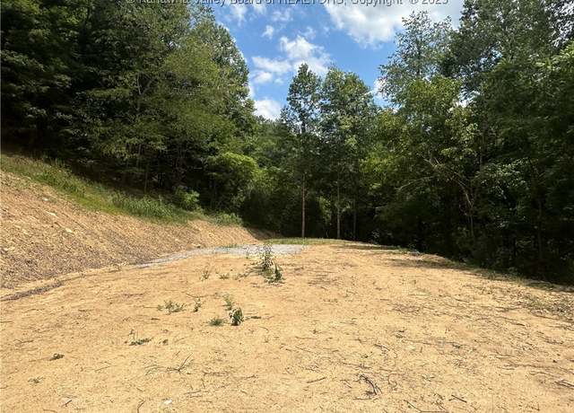 Property at 2910 Straight Fork Rd, Alkol, WV 25501