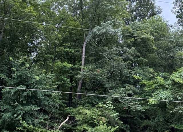 Property at 0 Round Bottom Rd, Peytona, WV 25154