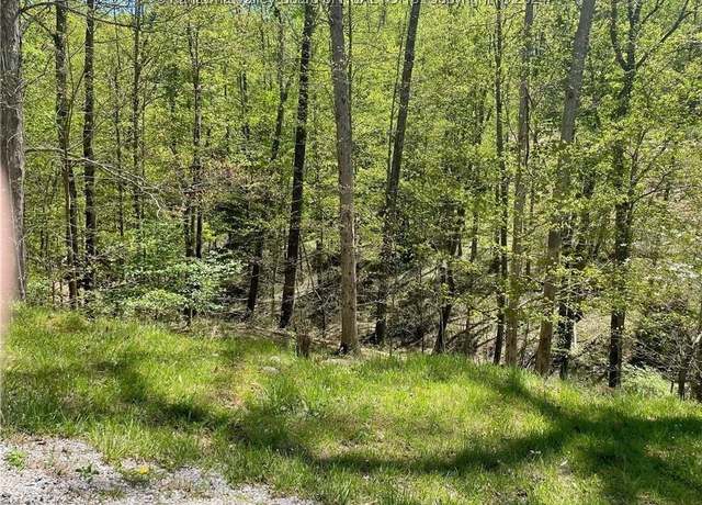 Property at 16-18 Stoney Creek Dr, Ripley, WV 25271