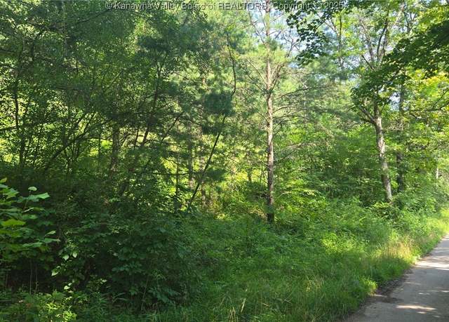Property at 0 Walters Run Rd, Ripley, WV 25271