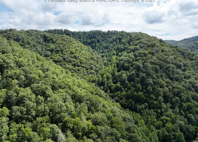 Property at 0 Trap Fork Rd, WV 24844