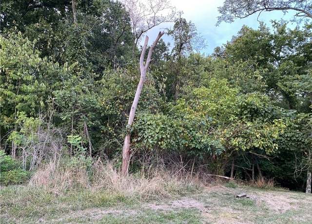 Property at 0 Pinnell St, Cottageville, WV 25239