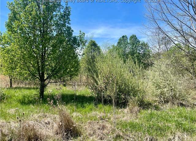 Property at 0 South Forty Dr, Evans, WV 25241