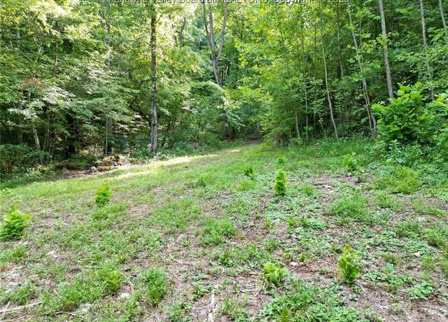 Property at 50A Island Branch Rd, Sissonville, WV 25320