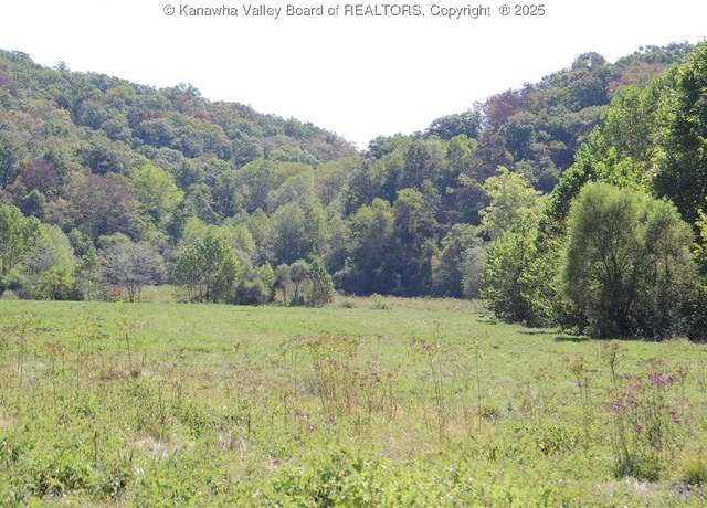Property at 0 16 Mile Rd, Apple Grove, WV 25187