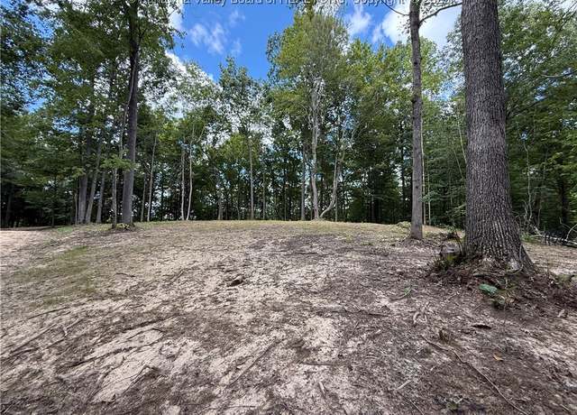 Property at 0 Harmon Run Rd, Ripley, WV 25271
