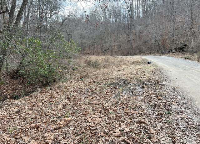 Property at Rt 64 Upton Creek Rd, Spurlockville, WV 25565