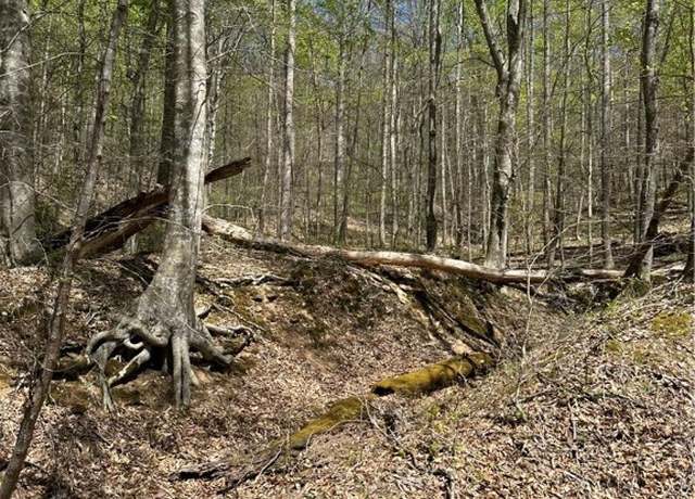 Property at Lot #1 Sugartree Rd, Alkol, WV 25501