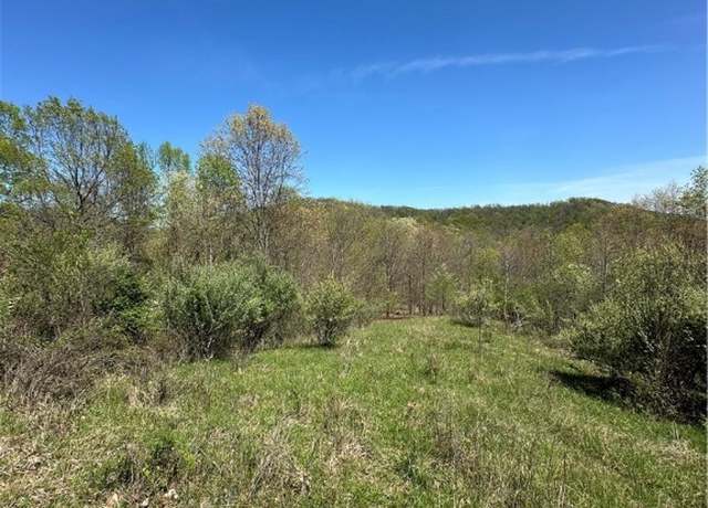 Property at Lot #4 Lucky Ln, Alkol, WV 25501
