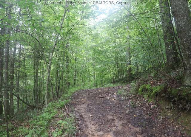 Property at 0 Off RT 16 Rd, WV 25113