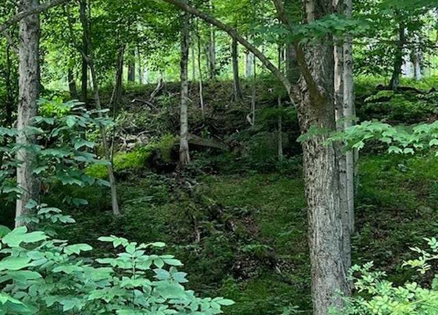 Property at 0 Tuppers Creek Rd, Sissonville, WV 25320