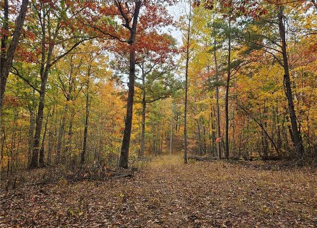 Property at 0 Majestic Hts, Griffithsville, WV 25564