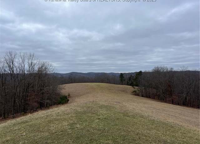 Property at 214 Spruce Run Rd, Ripley, WV 25271