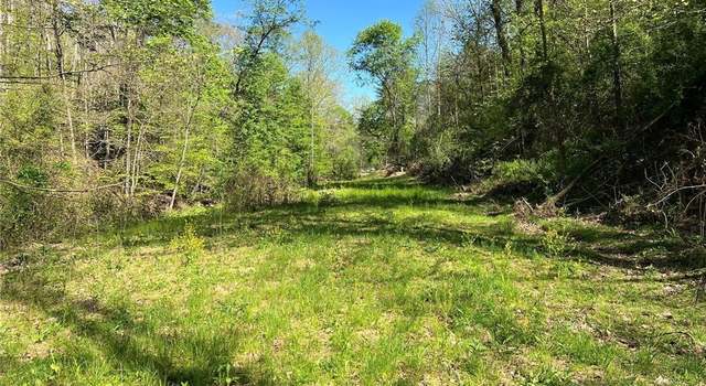 Photo of 0 Upper Mud River Rd, Hamlin, WV 25523