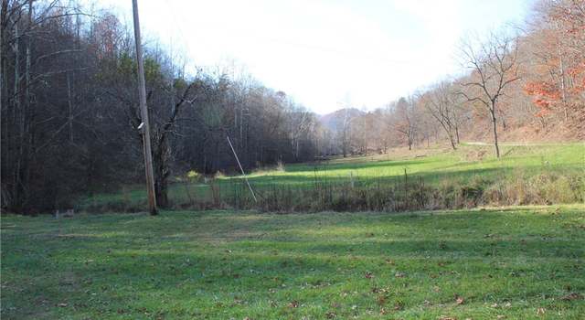 Photo of 558 Sears Run Rd, Chloe, WV 25235