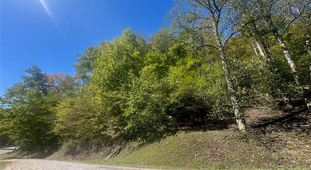 Photo of TBD Short Creek Rd, Racine, WV 25165