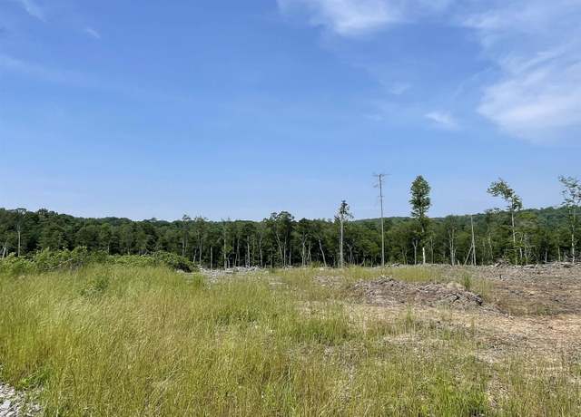 Property at Lot 18 Hanlin, Bruceton Mills, WV 26525