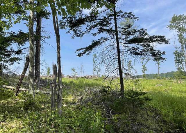 Property at Lot 19 Hanlin, Bruceton Mills, WV 26525