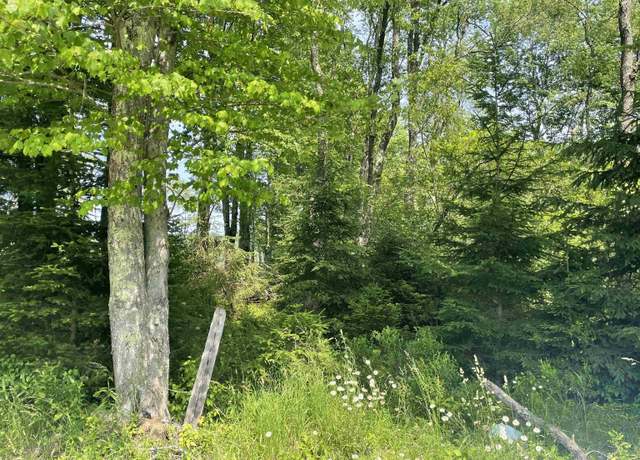 Property at Lot 20 Hanlin, Bruceton Mills, WV 26525