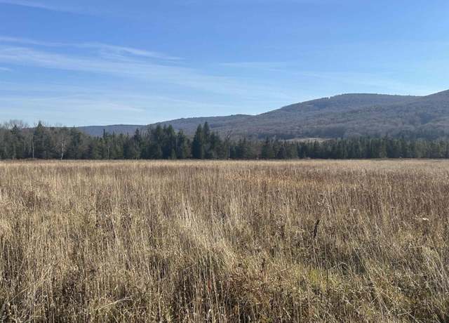 Property at Lot 9 Clear Vw, Davis, WV 26260