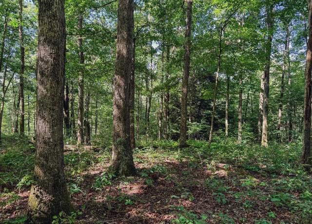 Property at TBD Whitewater, Bruceton Mills, WV 26525