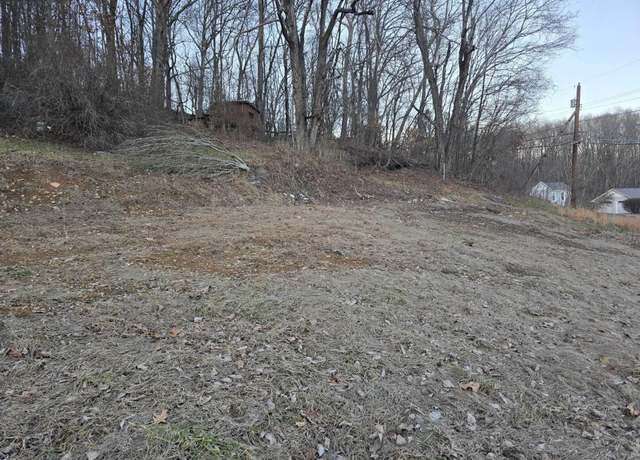 Property at 167 Lincoln St, Grafton, WV 26354